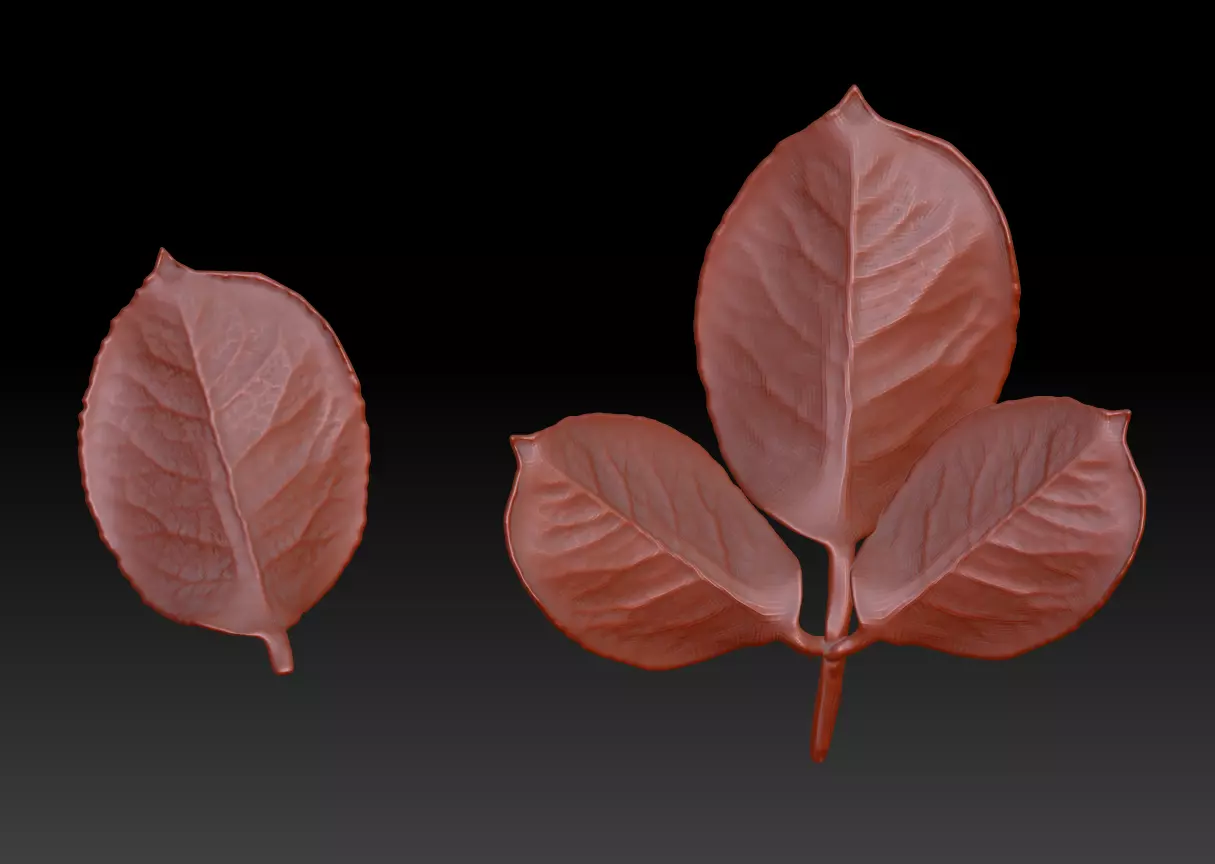 Rose leaf leaf rose leaf 3D printing STL 3D print model_0
