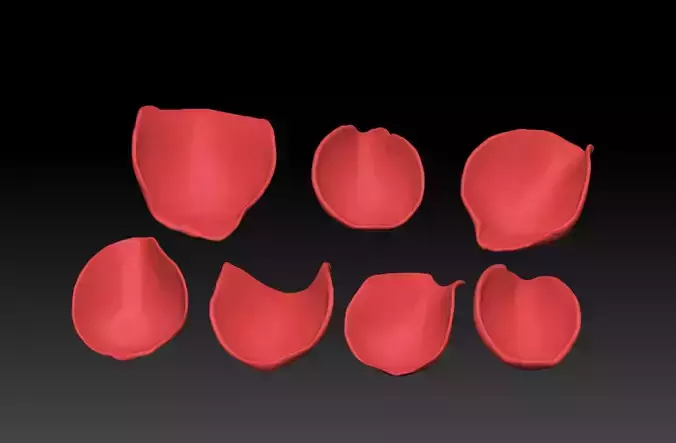 Rose petal 3D printing STL Download