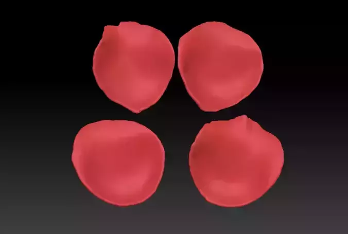 Rose petal 3D printing STL Download