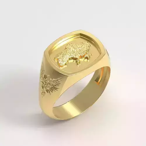 Ukrainian Ring 3D print model