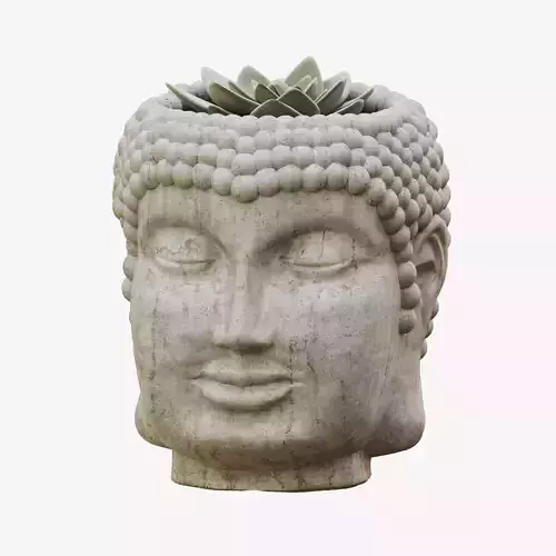 Buddha head 