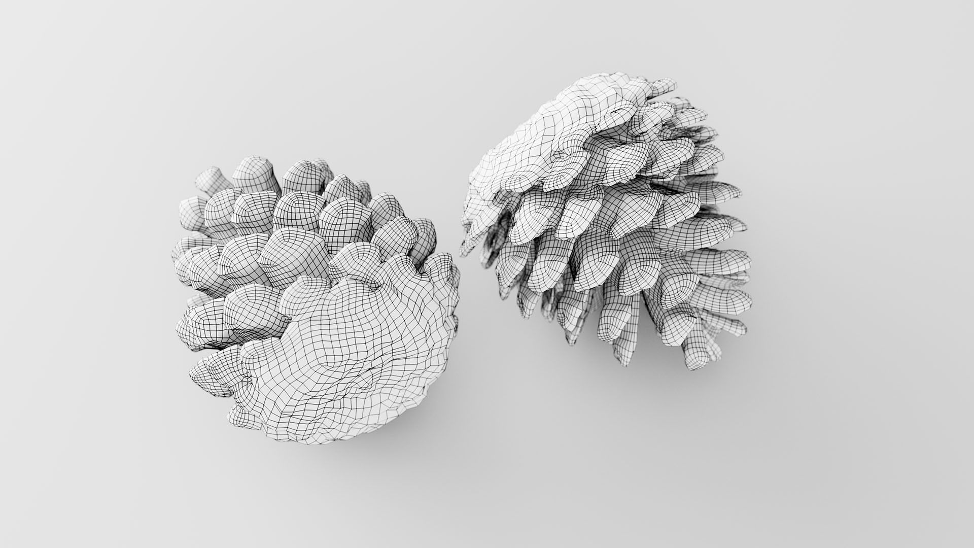 Pinecone - 3D Scan Low-poly 3D model_5