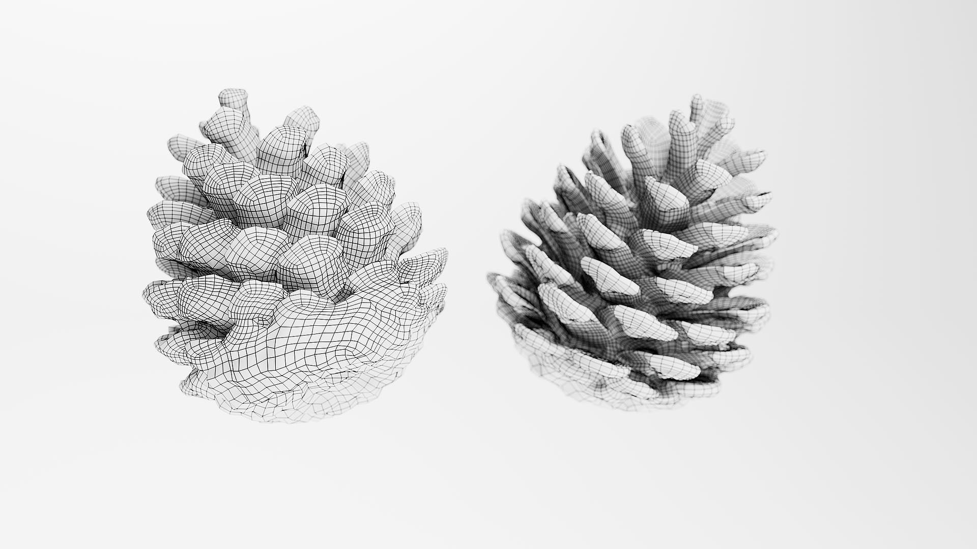 Pinecone - 3D Scan Low-poly 3D model_3