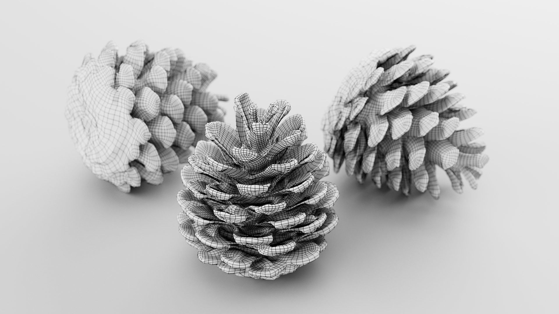 Pinecone - 3D Scan Low-poly 3D model_1