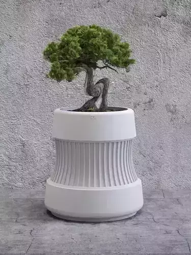 DECORATIVE SUCCULENT VASE