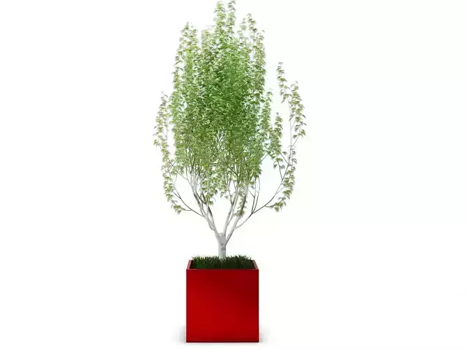 monomer decoration Modern flowers Plant