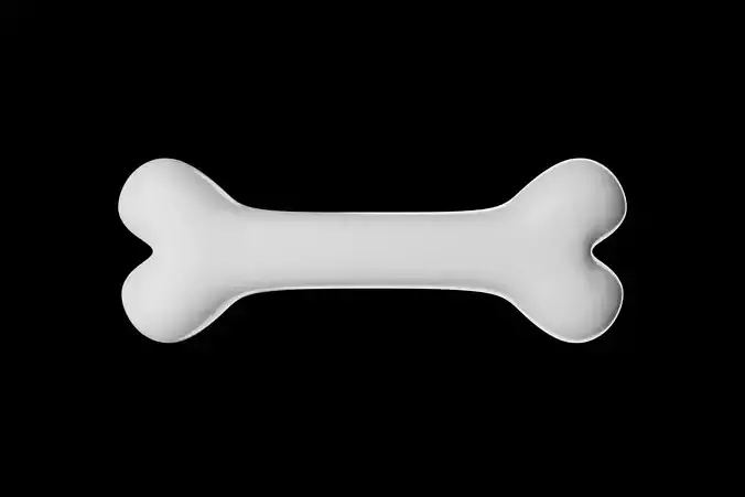 Cartoon-style bone toy