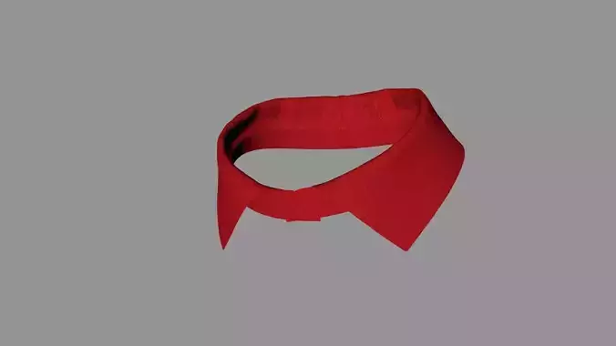 Collar accessory 3D model