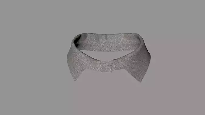 Collar accessory 3D model