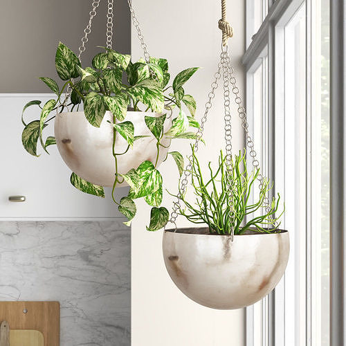 Benally Iron Hanging Planter Set 3D model