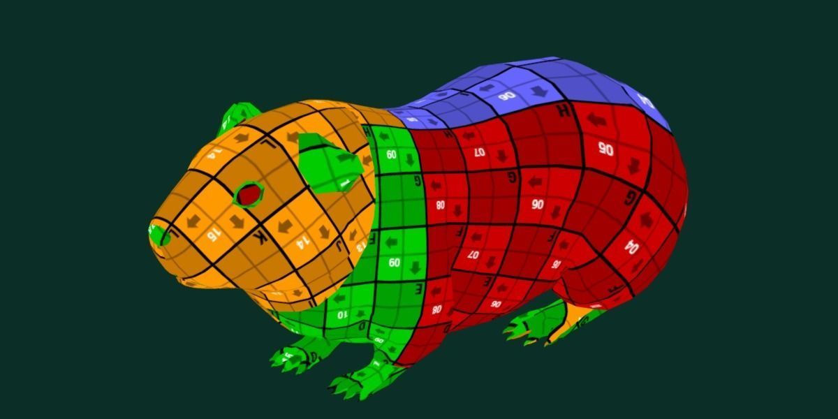 Domestic Guinea Pig Rodent Low-poly 3D model_10