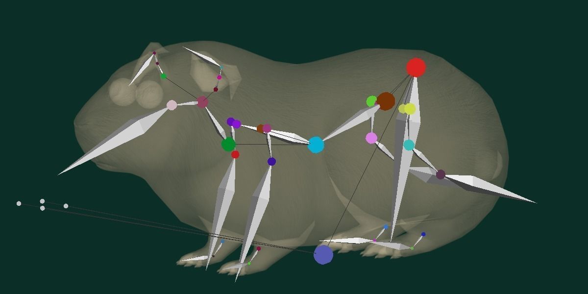 Domestic Guinea Pig Rodent Low-poly 3D model_6