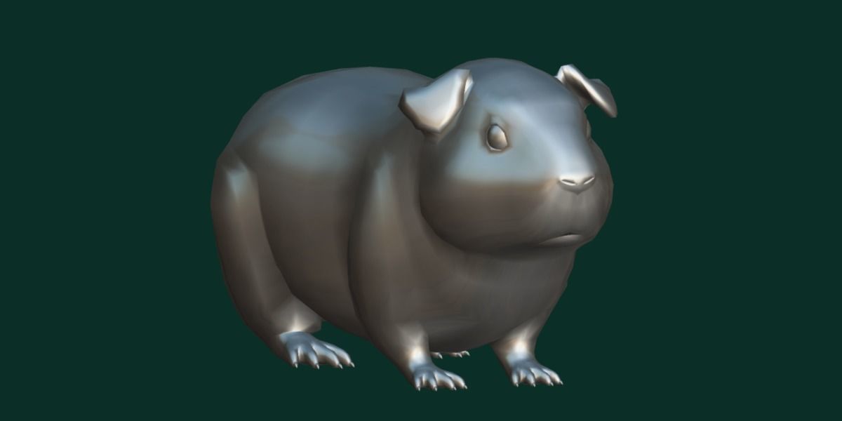 Domestic Guinea Pig Rodent Low-poly 3D model_19