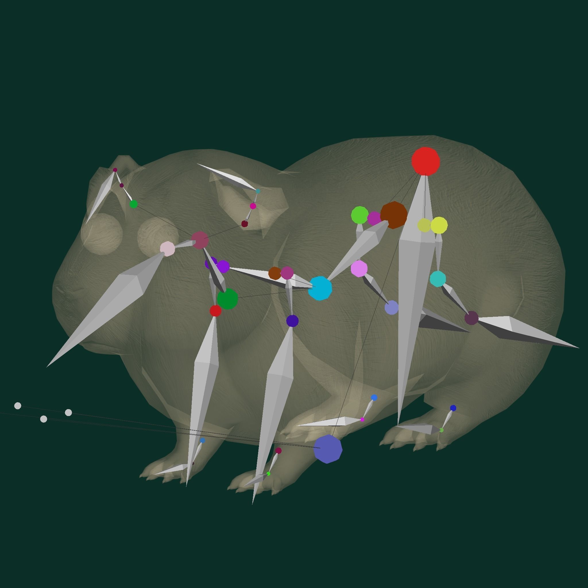 Domestic Guinea Pig Rodent Low-poly 3D model_13