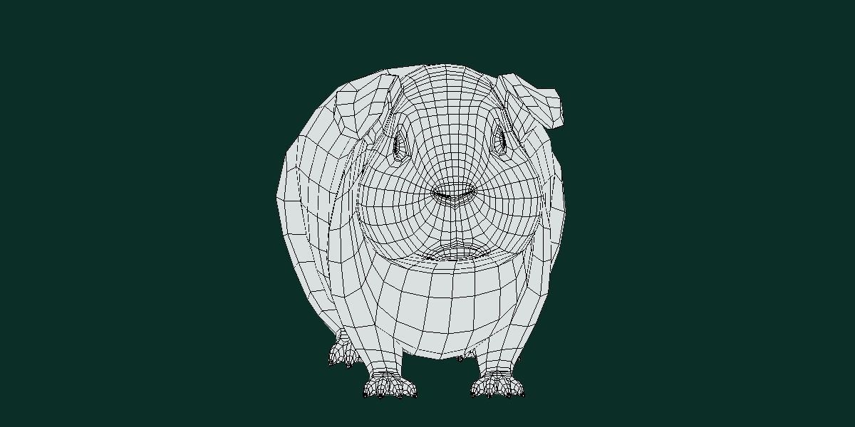 Domestic Guinea Pig Rodent Low-poly 3D model_7