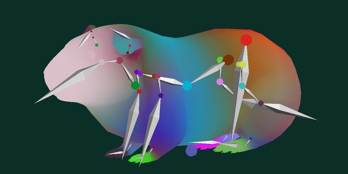 Domestic Guinea Pig Rodent Low-poly 3D model_14