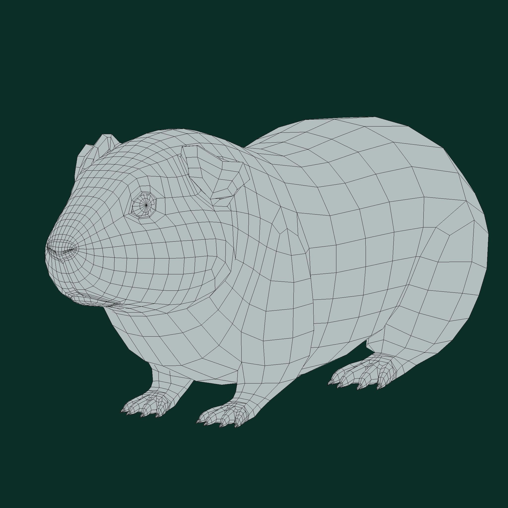 Domestic Guinea Pig Rodent Low-poly 3D model_12