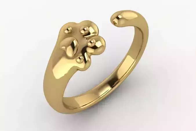 ring cat foot