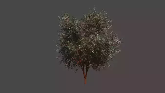 Realistic Trees