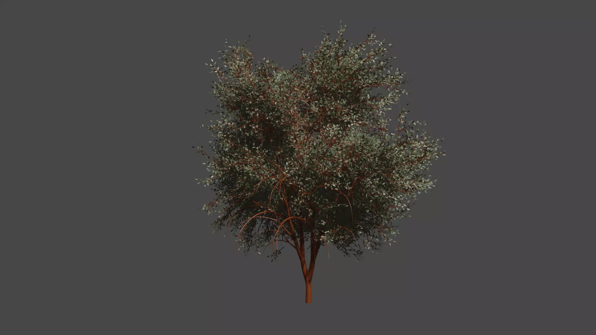 Realistic Trees 3D model
