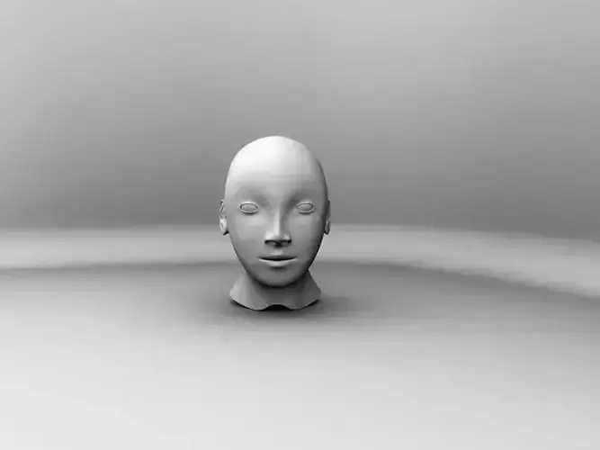 Human Head