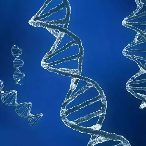 DNA sequencing RNA genetics 3D model