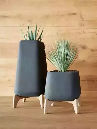 PLANT AND SUCCULENT VASE WITH WOODEN BASE