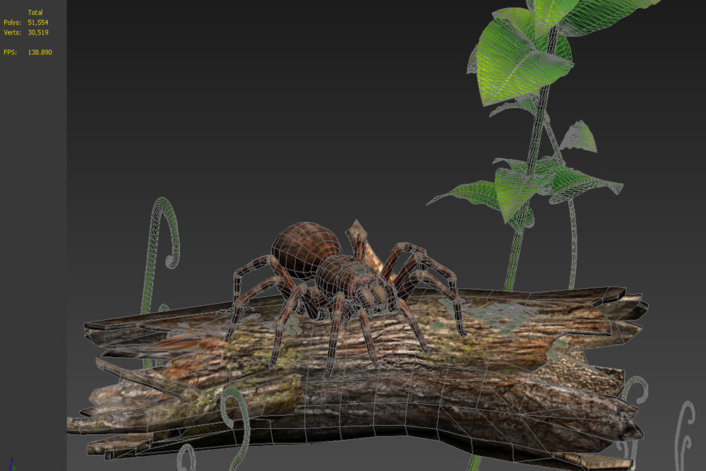 Spider black widow tarantula tarantula Insects 3D model_3