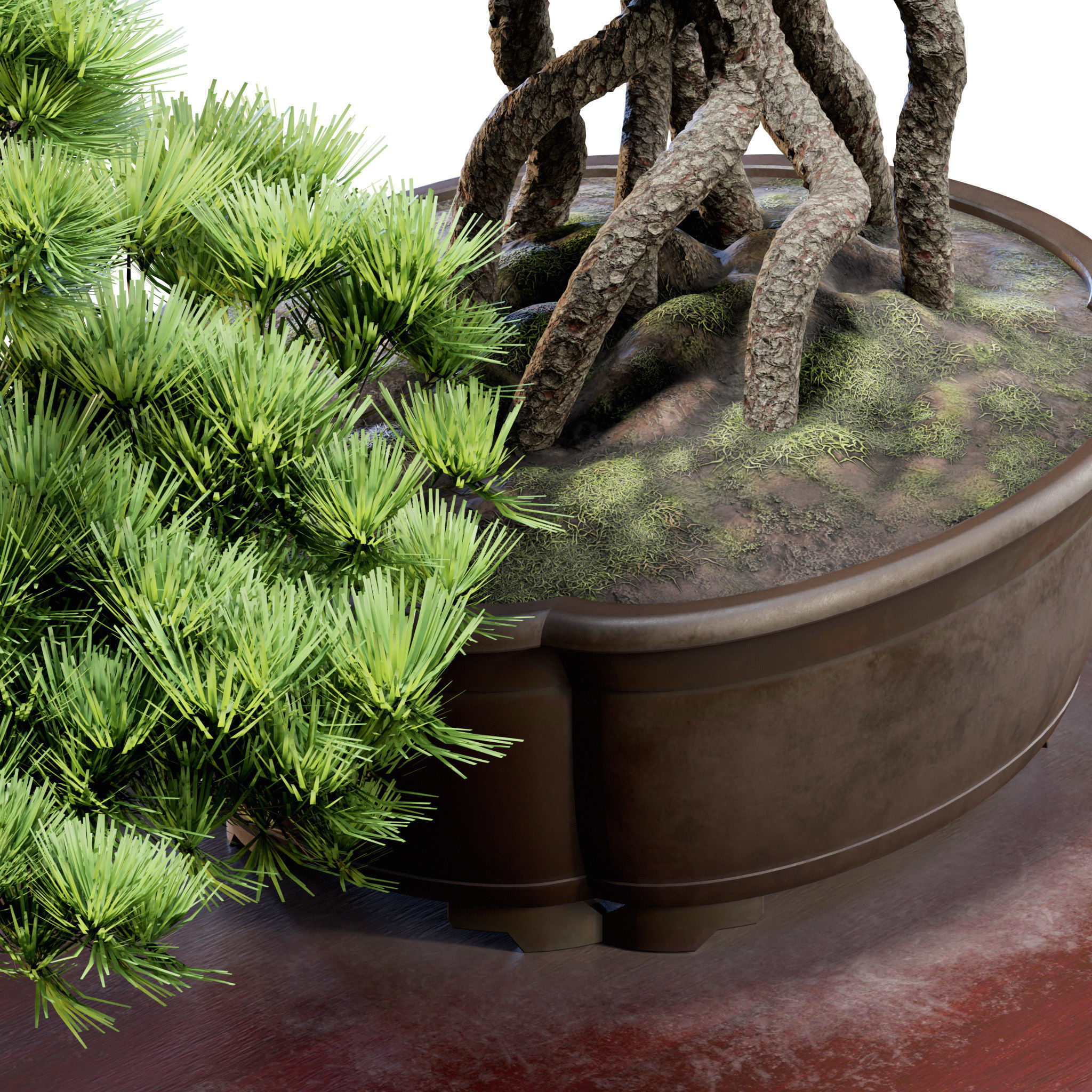 Bonsai 04 - PBR - Midpoly - HQ 3D model_10