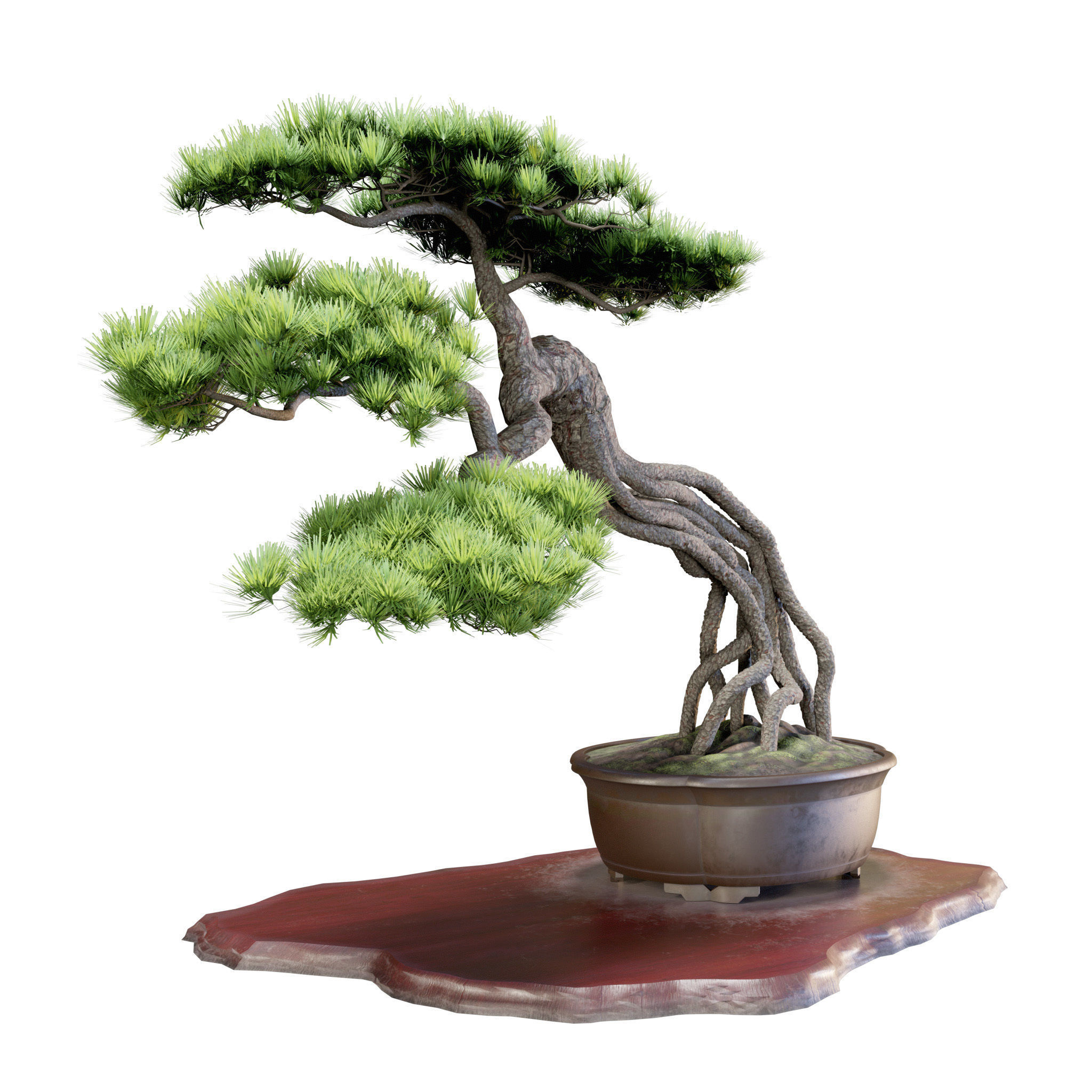 Bonsai 04 - PBR - Midpoly - HQ 3D model_7