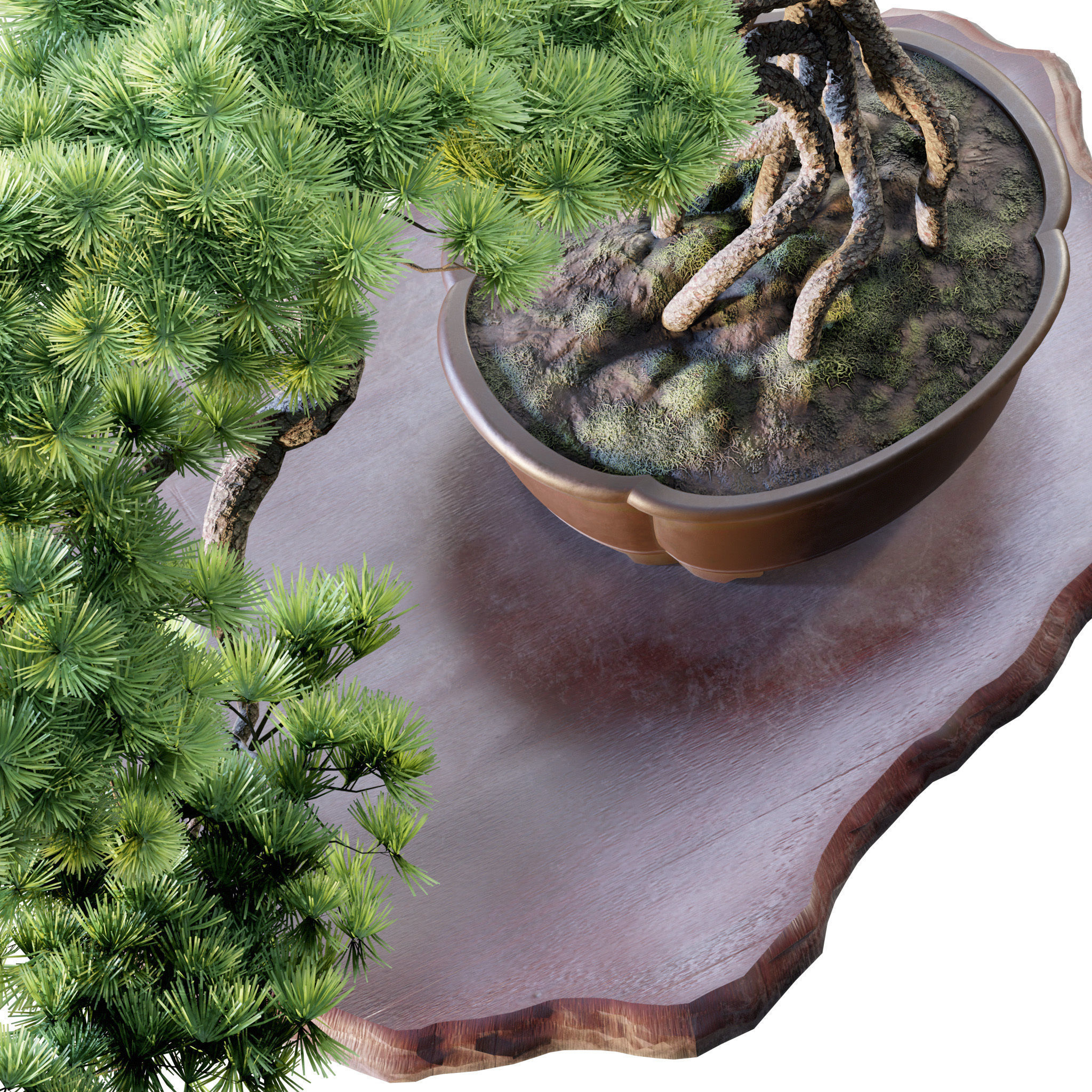 Bonsai 04 - PBR - Midpoly - HQ 3D model_8