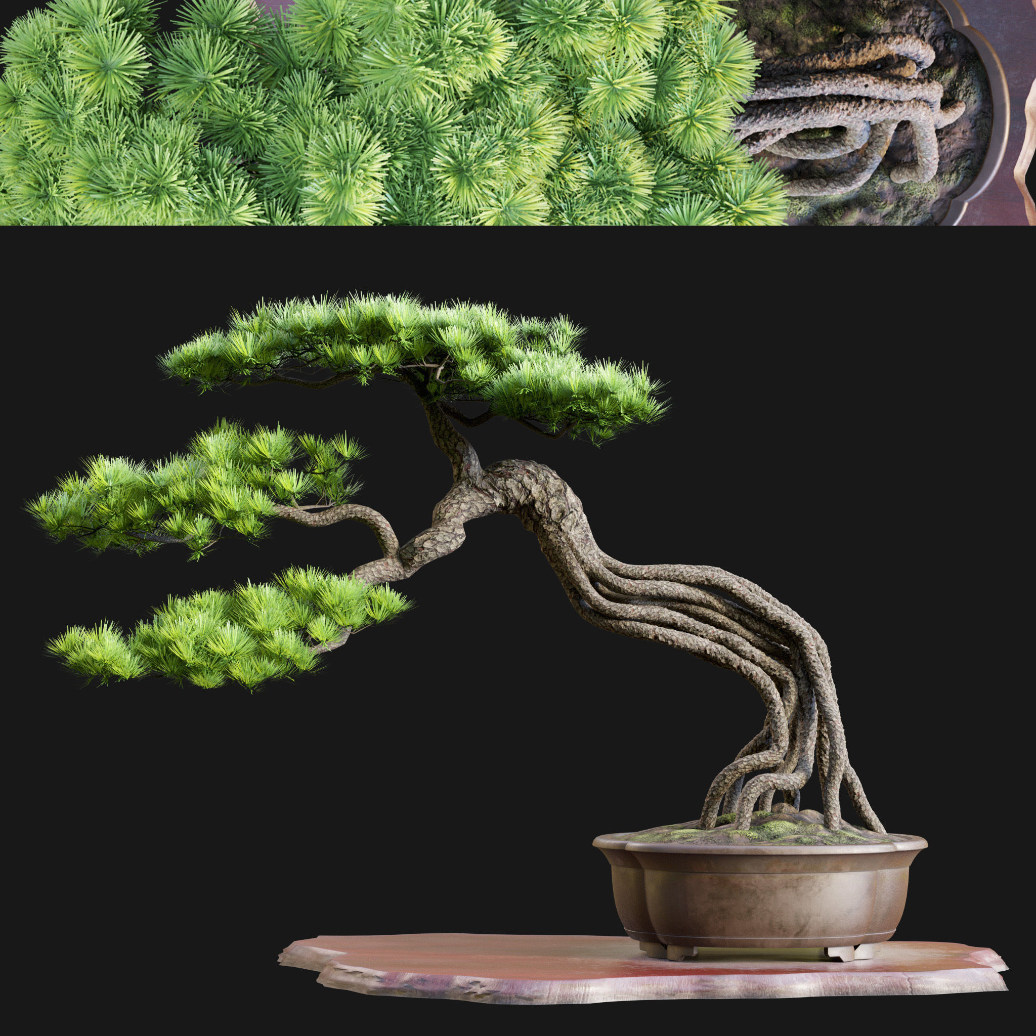Bonsai 04 - PBR - Midpoly - HQ 3D model_3