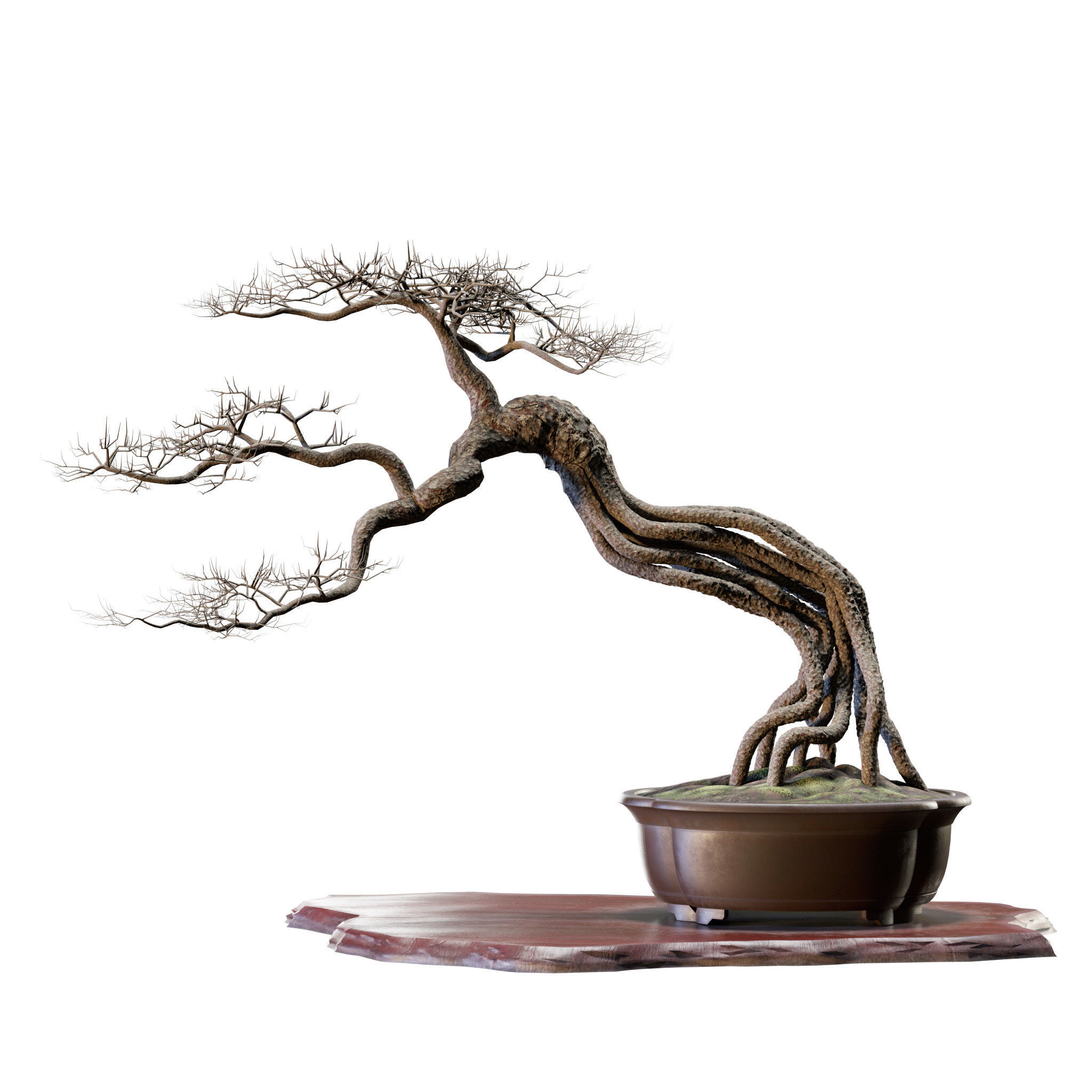 Bonsai 04 - PBR - Midpoly - HQ 3D model_11