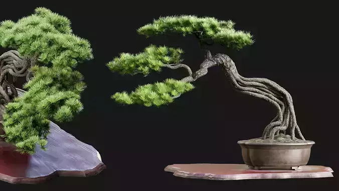 Bonsai 04 - PBR - Midpoly - HQ 3D model