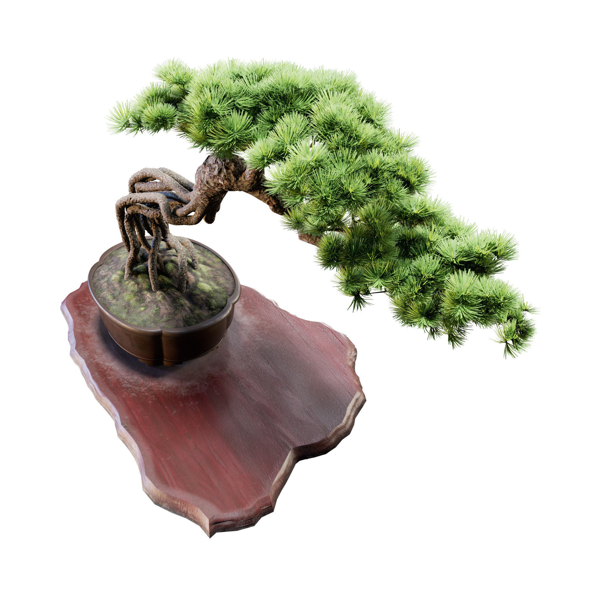 Bonsai 04 - PBR - Midpoly - HQ 3D model_4