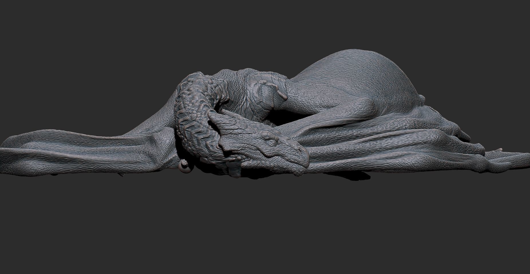 Dragon wyvern sleeping printeable 3D print model_2