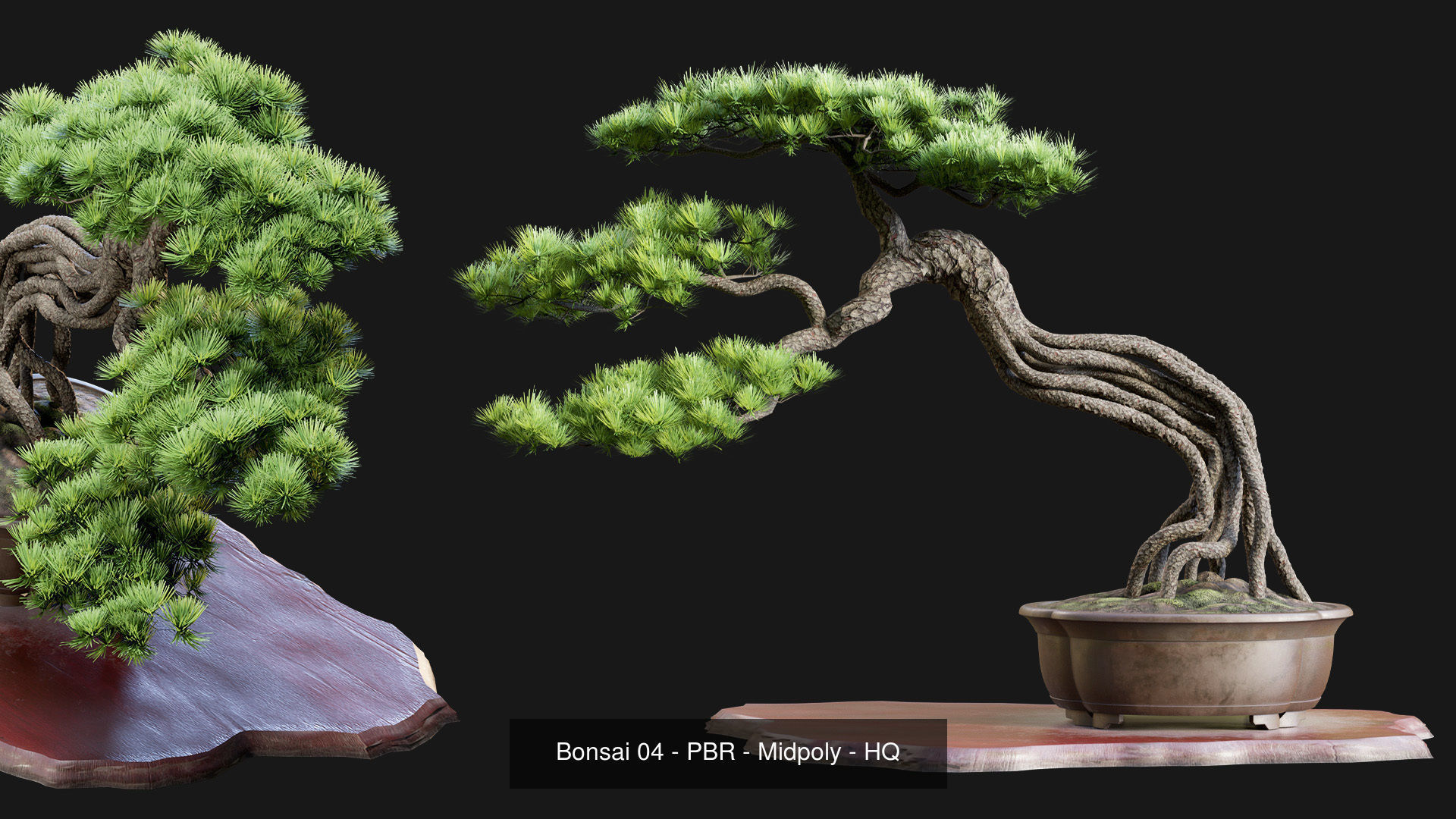 Bonsai Collection - 4 Bonsai - PBR - HQ - Midpoly _12