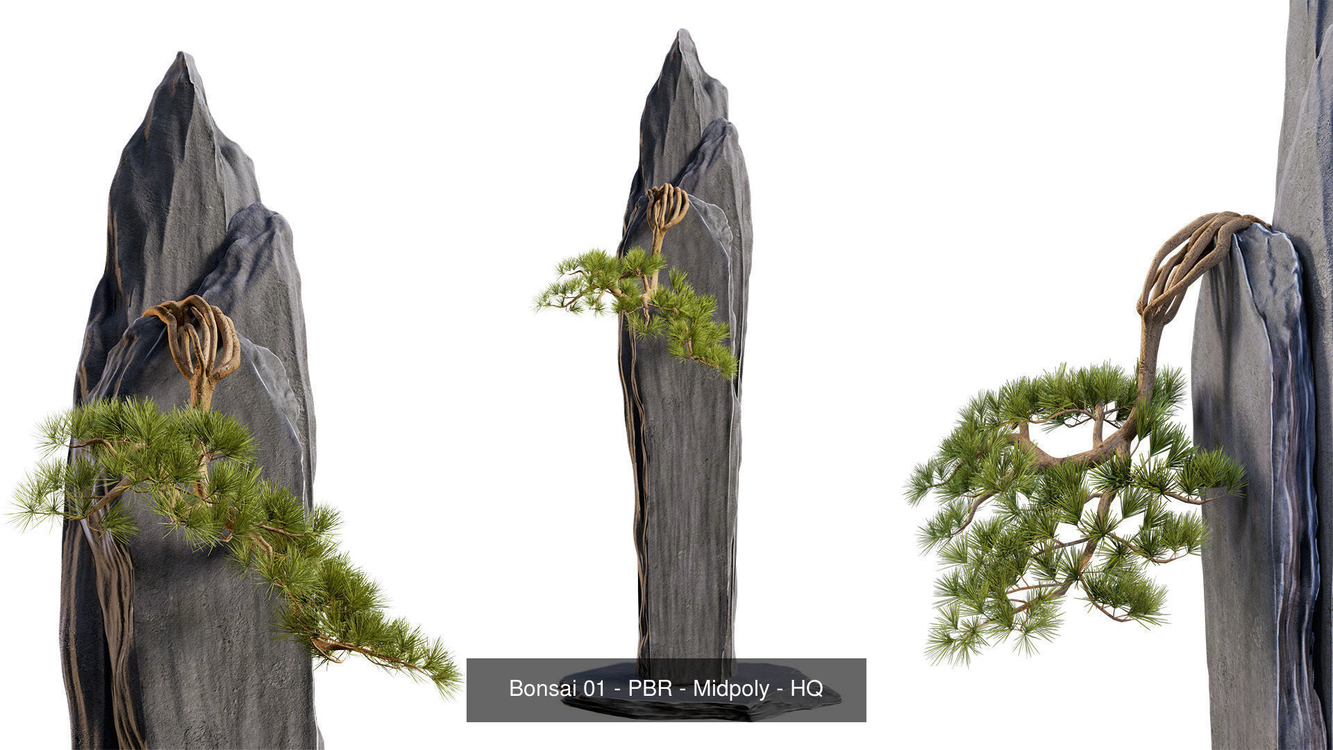 Bonsai Collection - 4 Bonsai - PBR - HQ - Midpoly _9