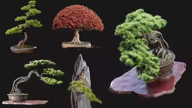 Bonsai Collection - 4 Bonsai - PBR - HQ - Midpoly 