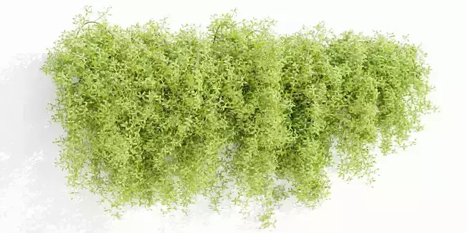 Hanging wall plants vol 171-Blender