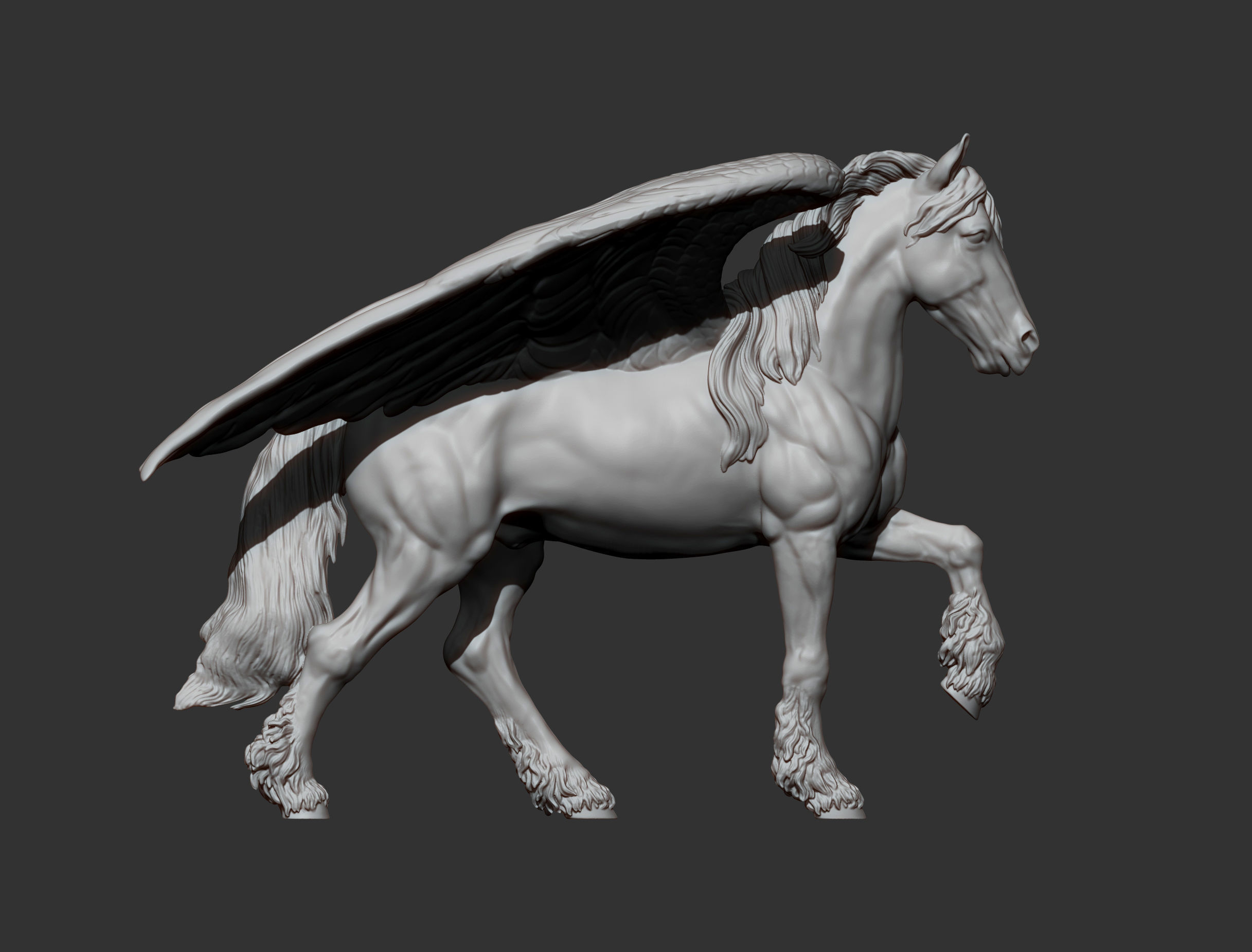 Pegasus 3D print model_8