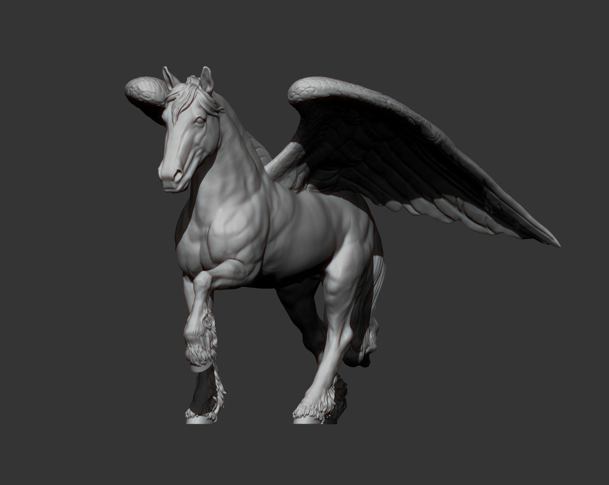 Pegasus 3D print model_14