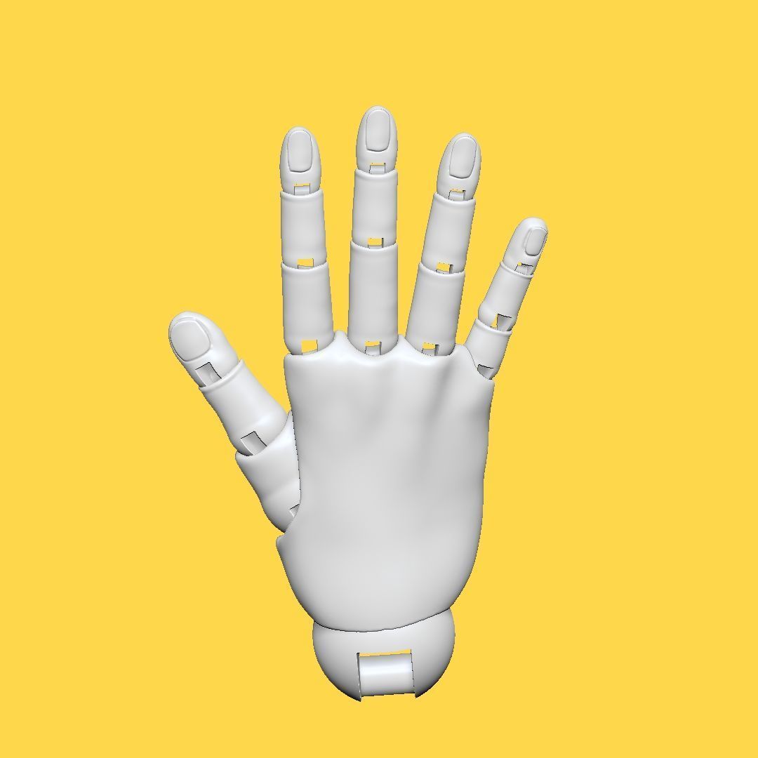 Anya Atelier - Basic BJD Jointed Hand 3d print file 3D print model_6