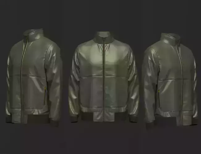 Winter Jacket 3d Model