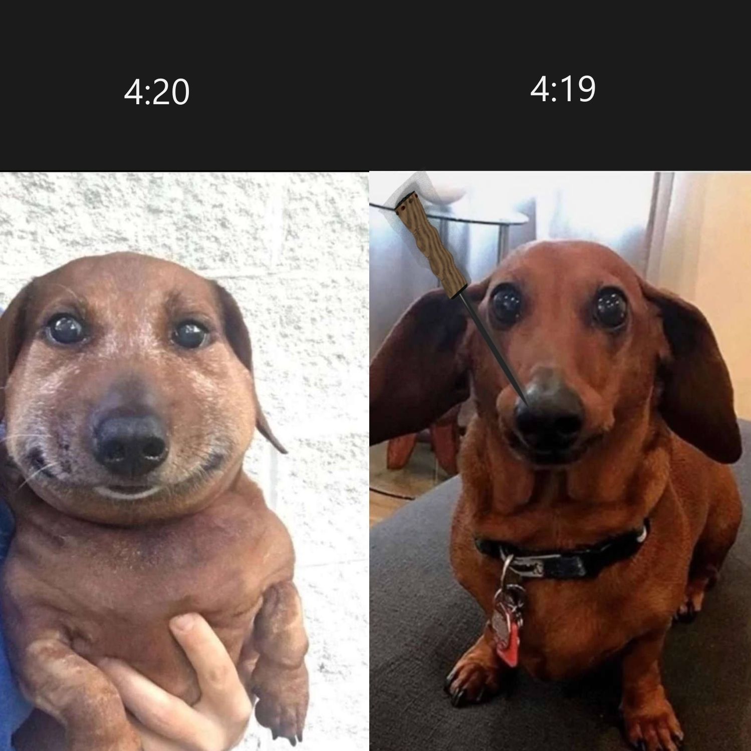 Sting Free 3D model_5