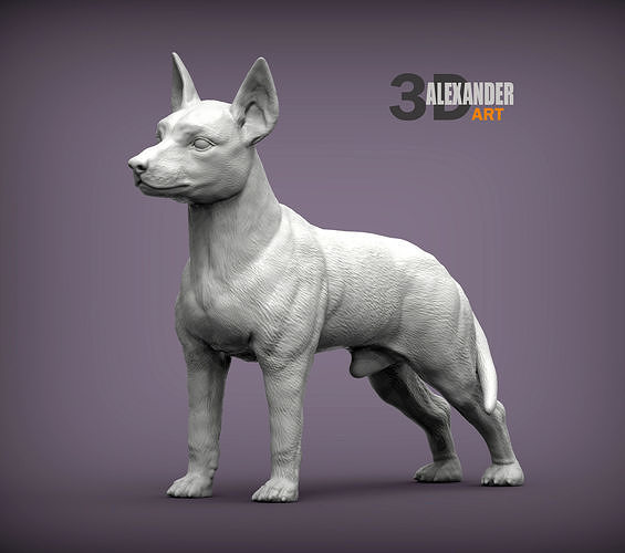 Miniature Pinscher 3D print model