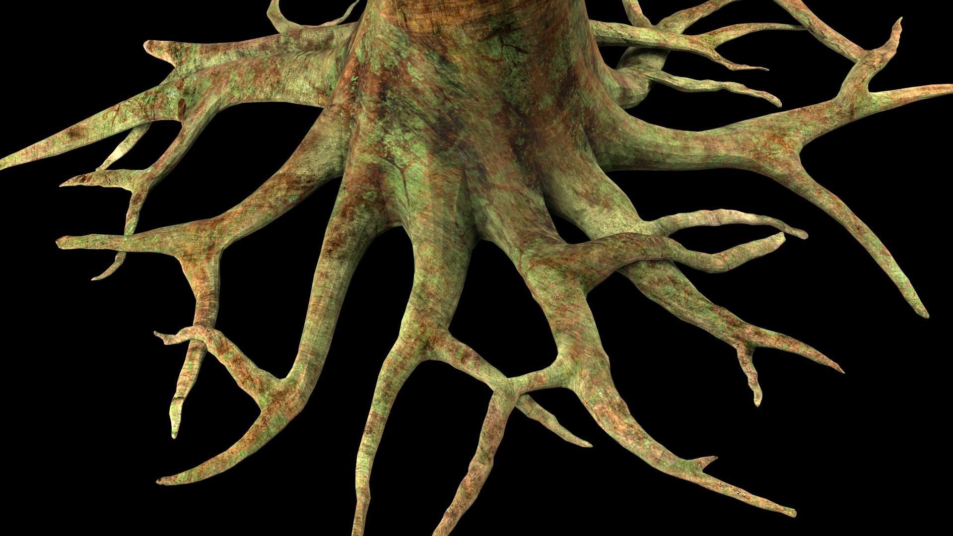 table roots 3D model_22