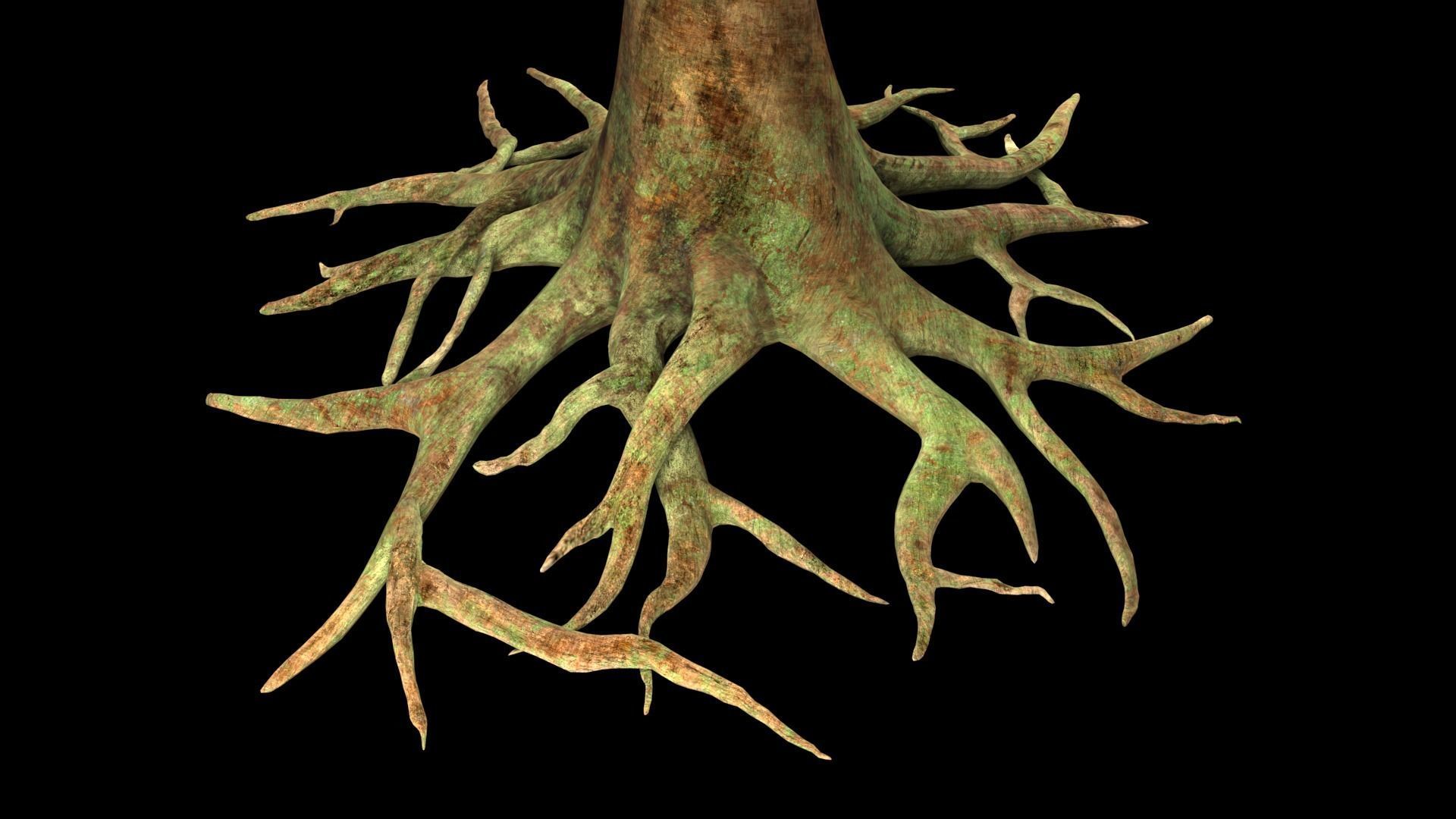 table roots 3D model_18