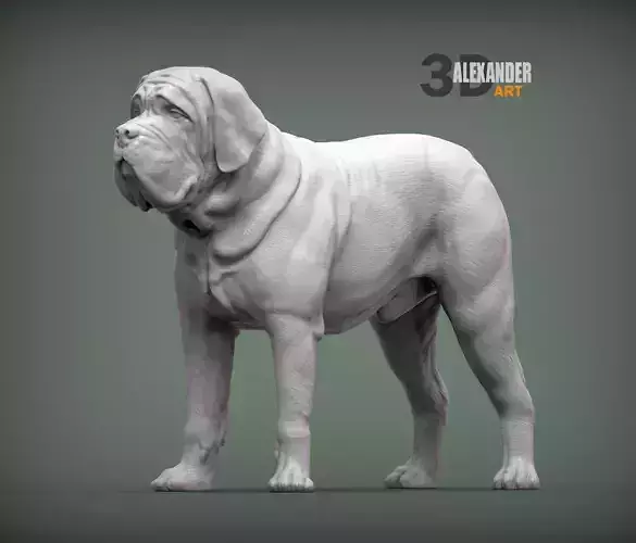 Mastiff stands
