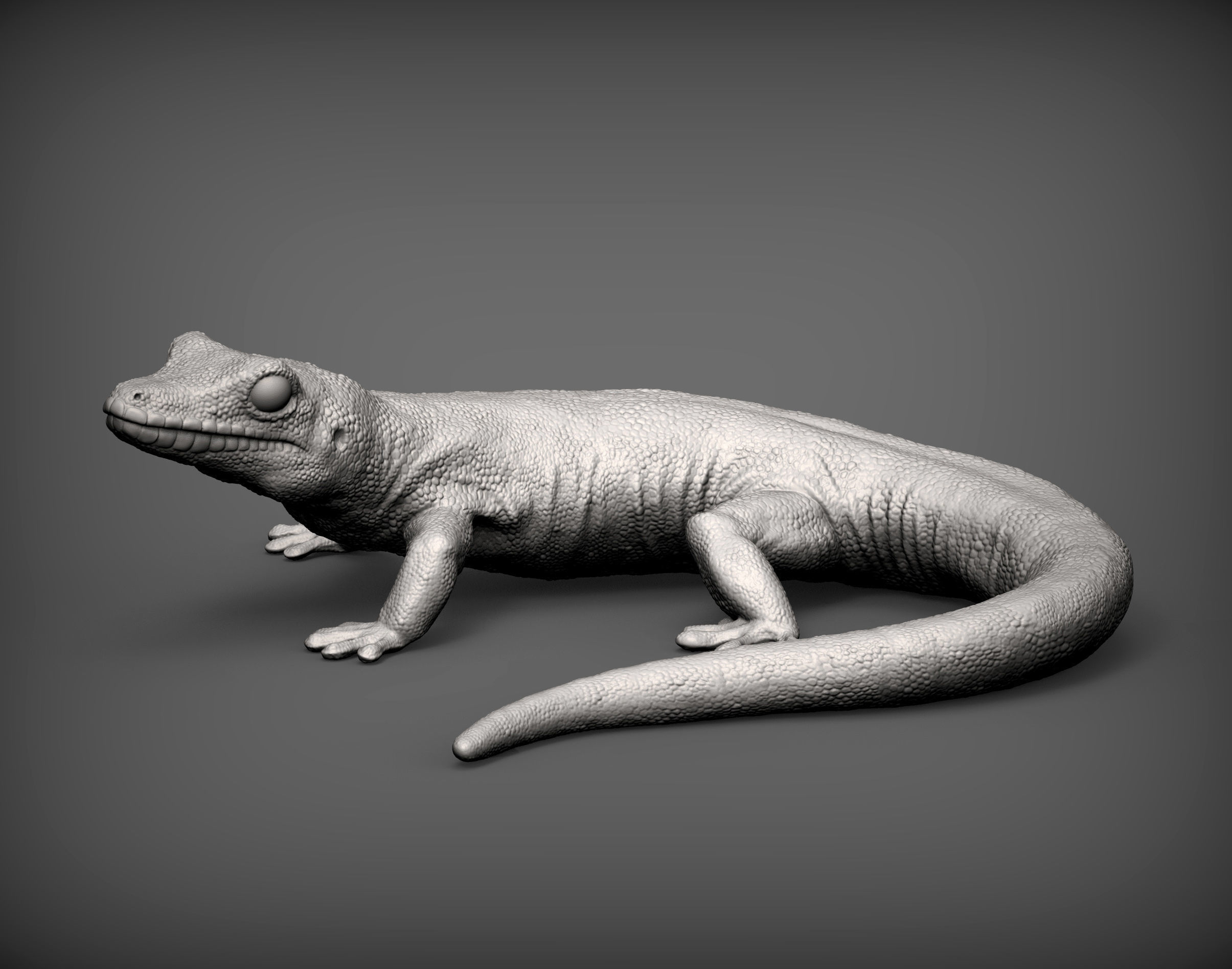 Day Gecko 3D print model_2